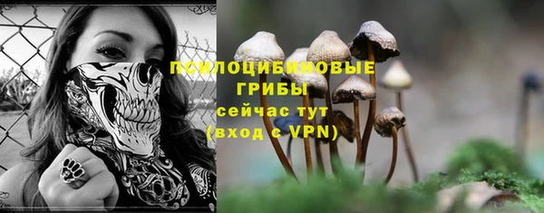 ALPHA-PVP Верея